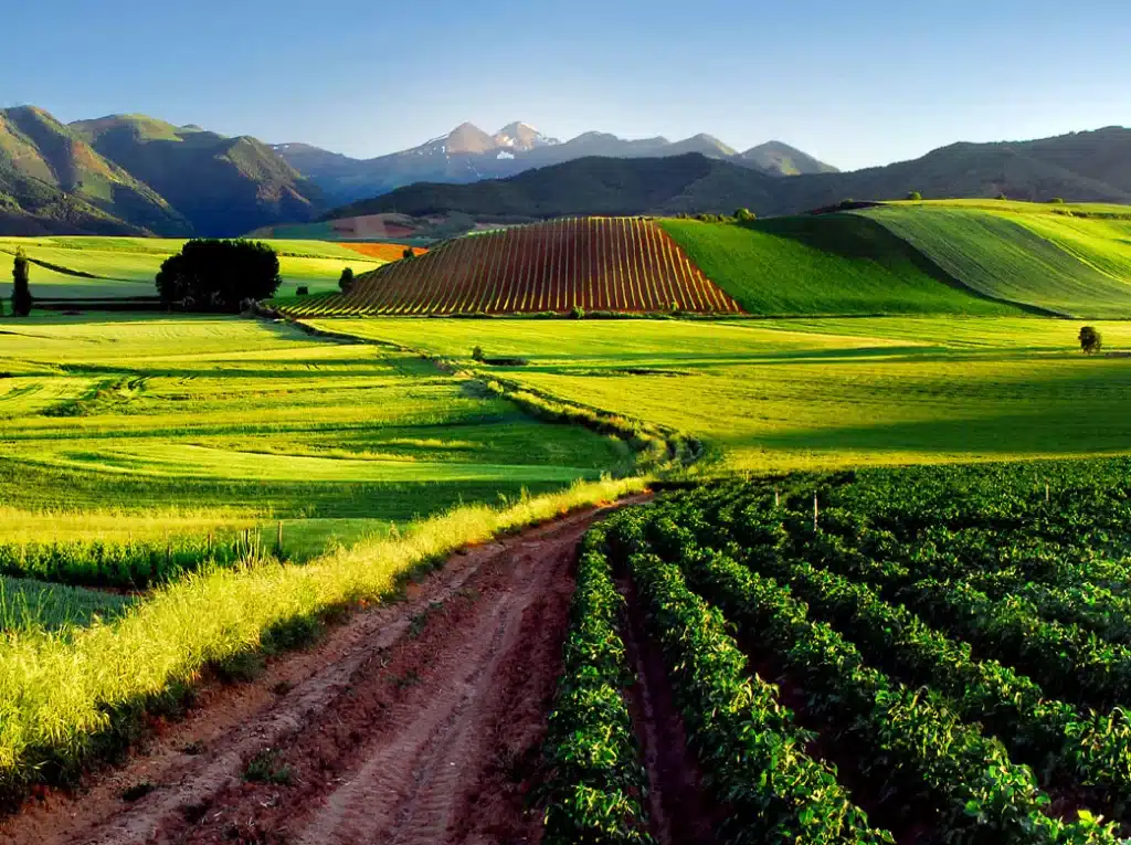 pasiatge de la rioja