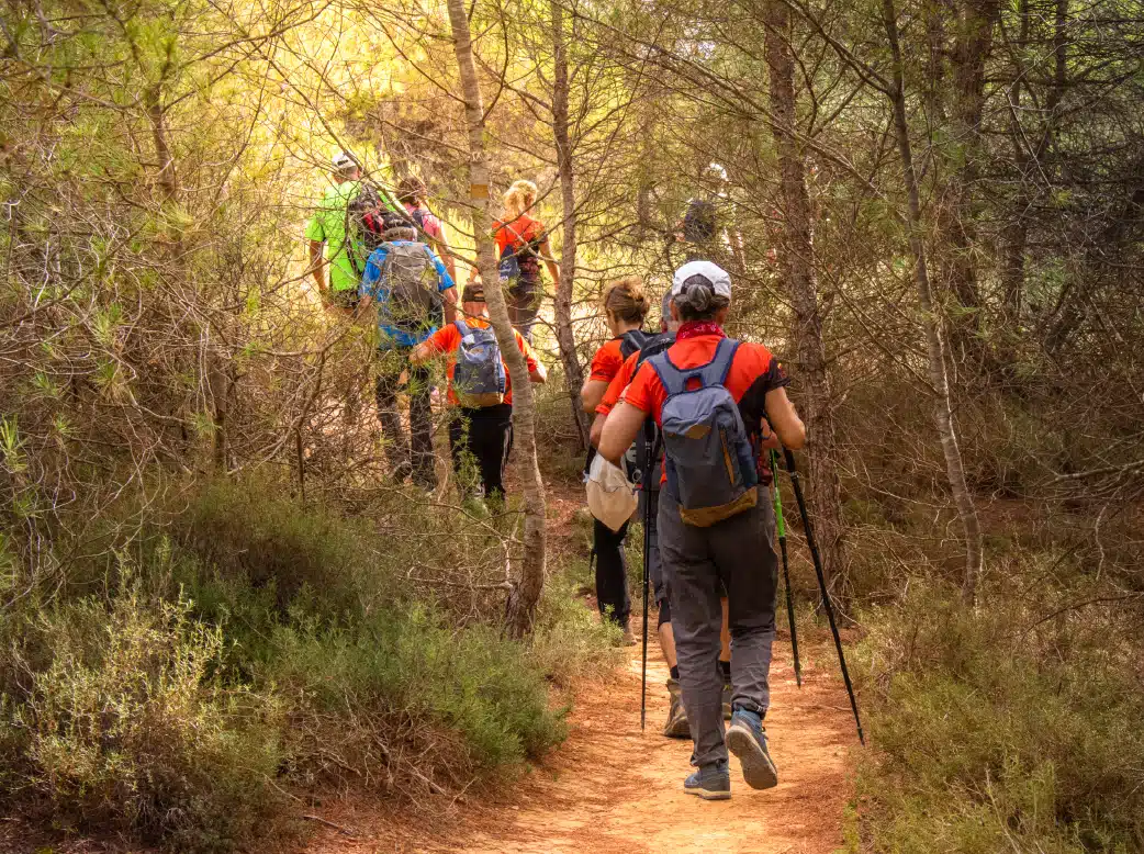 ruta excursió muntanya