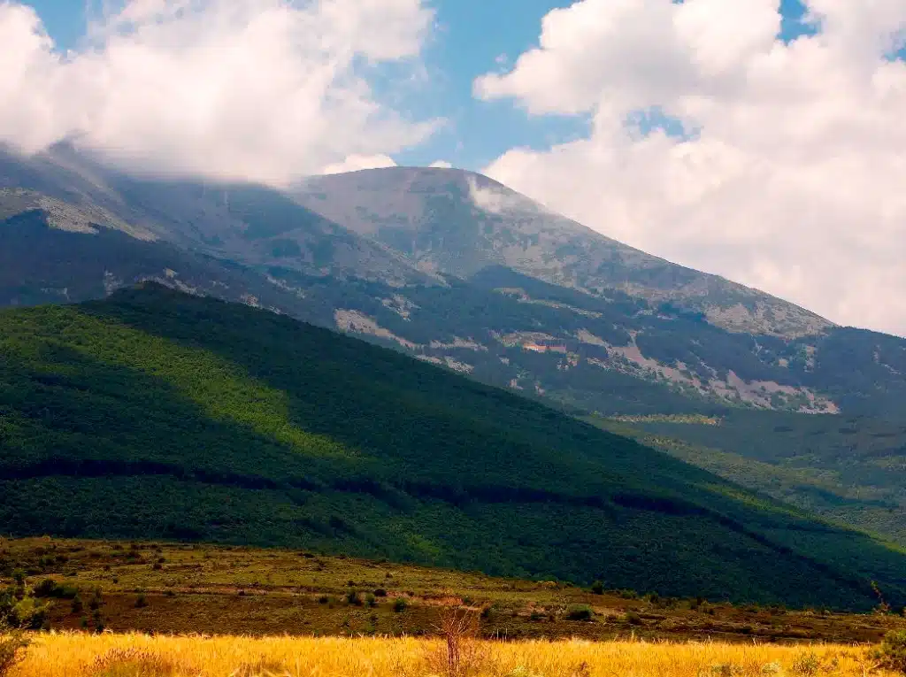 Moncayo