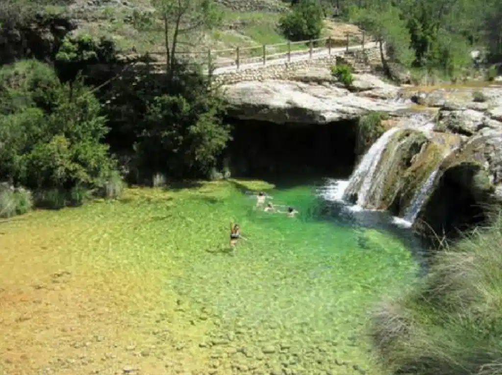 piscines naturals toll