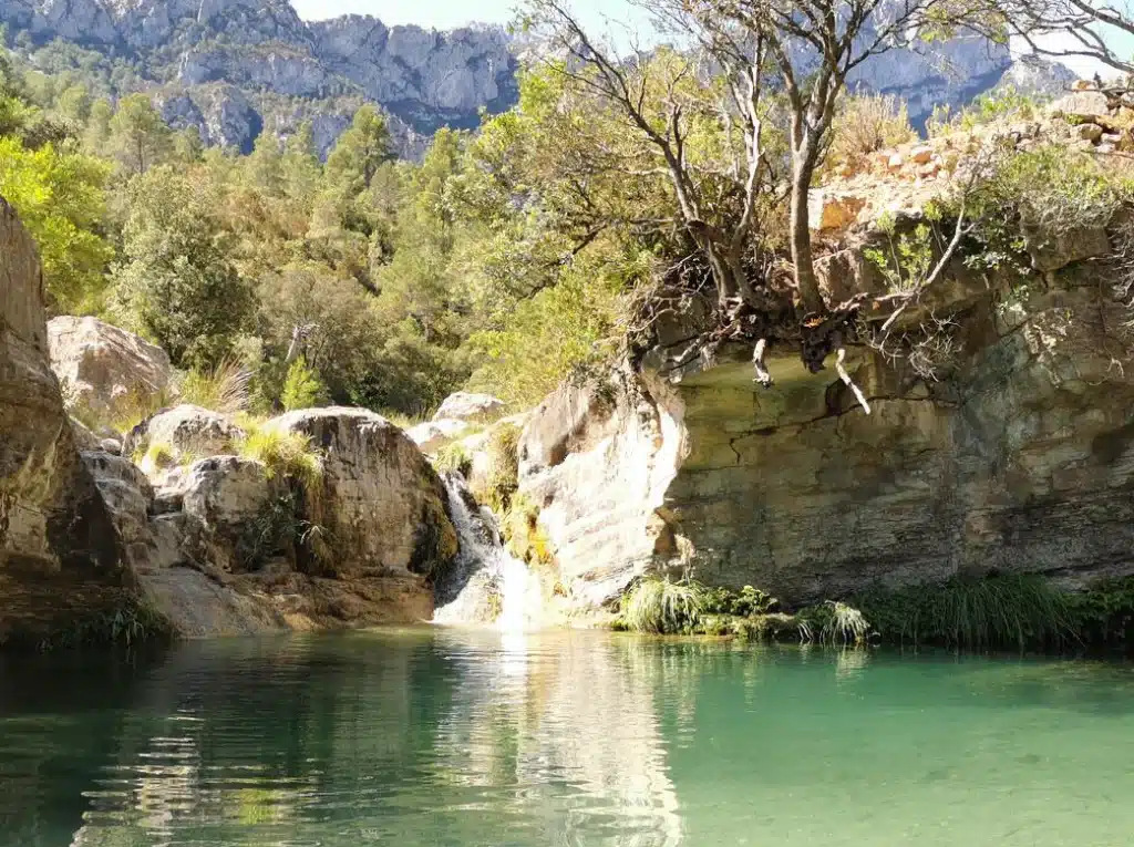 piscines naturals toll blau