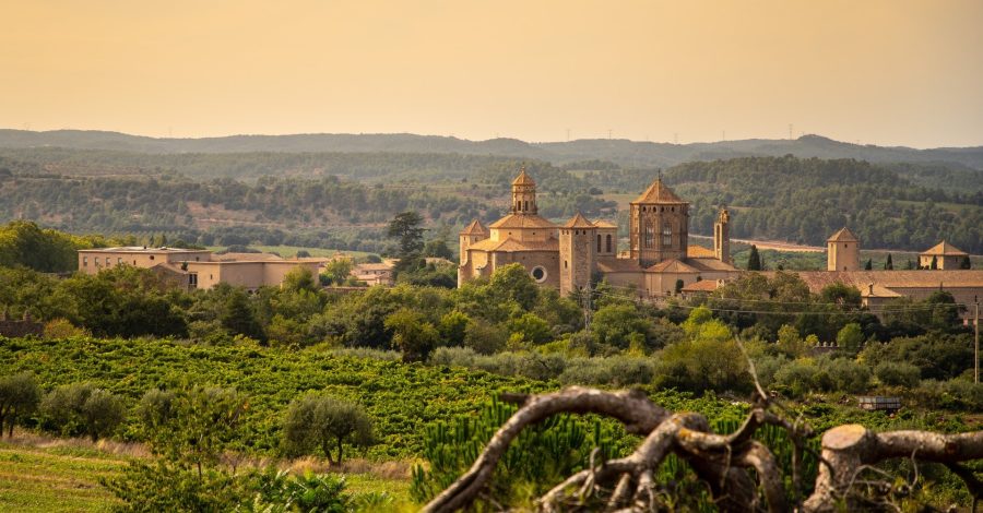 hotel-rural-villa-engracia-vistas-monasterio