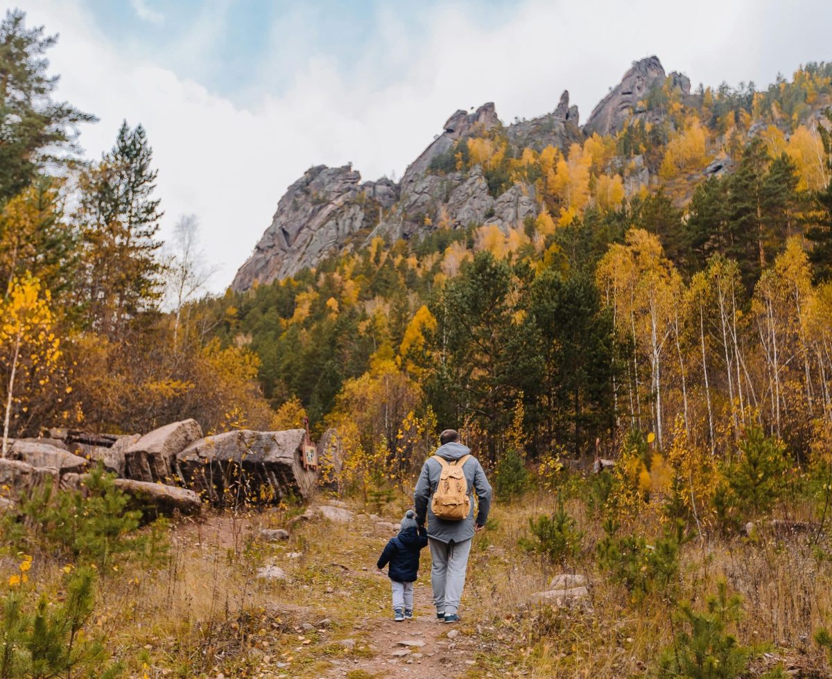 pexels-1585669-3077837