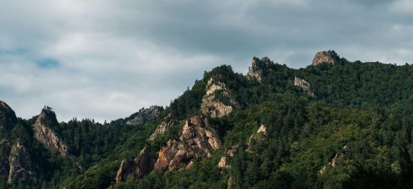 pexels-arti-19776811